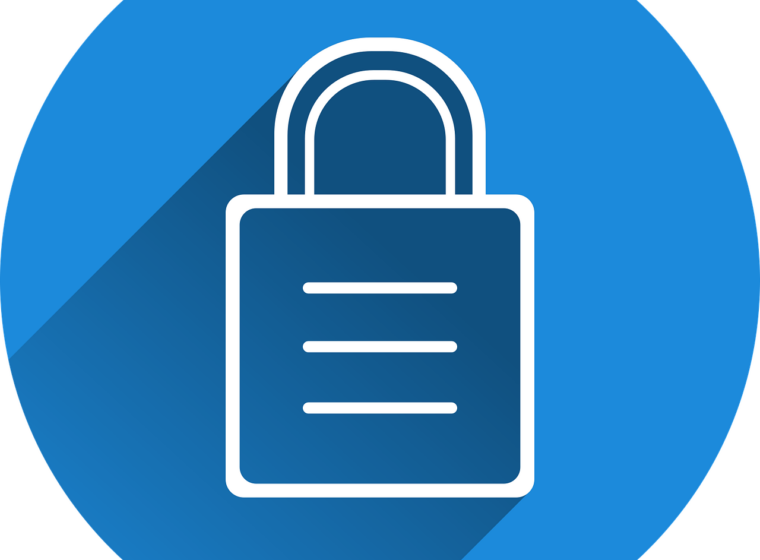 Free castle security locked vector